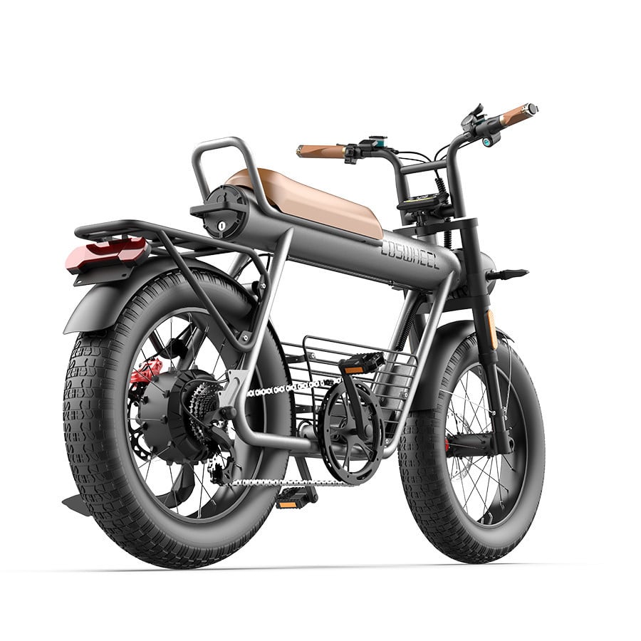 CT20 EBIKE 48V 1000W 15/20/25AH ELECTRIC CITY FAMILY BIKE